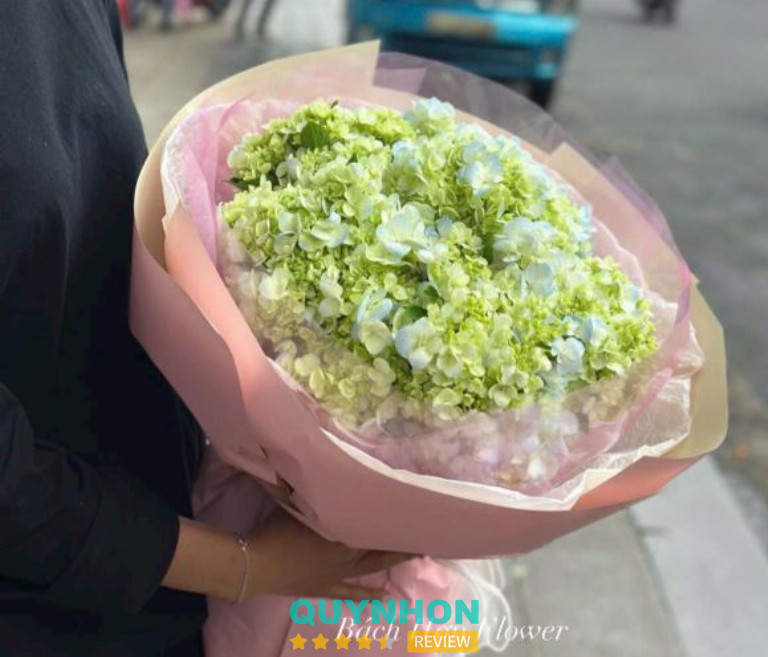 Shop Hoa Bách Hợp tại Gia Lai 