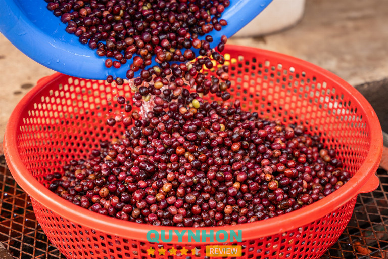 Công ty TNHH Vĩnh Hiệp – Pleiku