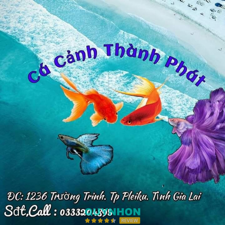 Cá Cảnh Thành Phát – Pleiku