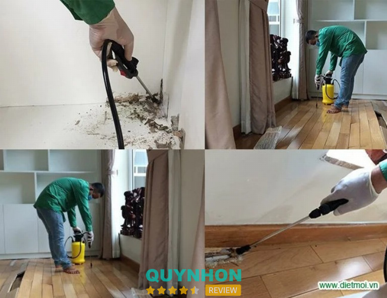 Diệt Mối Trần Anh – 129/6 Hai Bà Trưng