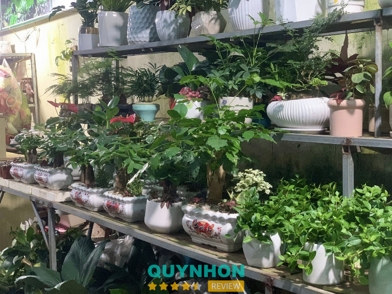 Bông Garden - Pleiku 