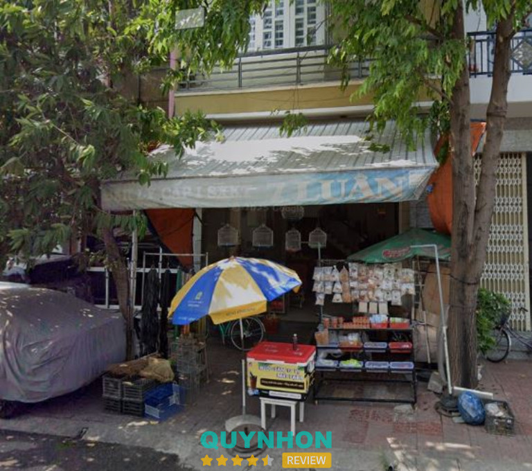 Địa chỉ bán chim chào mào ở Bình Định
