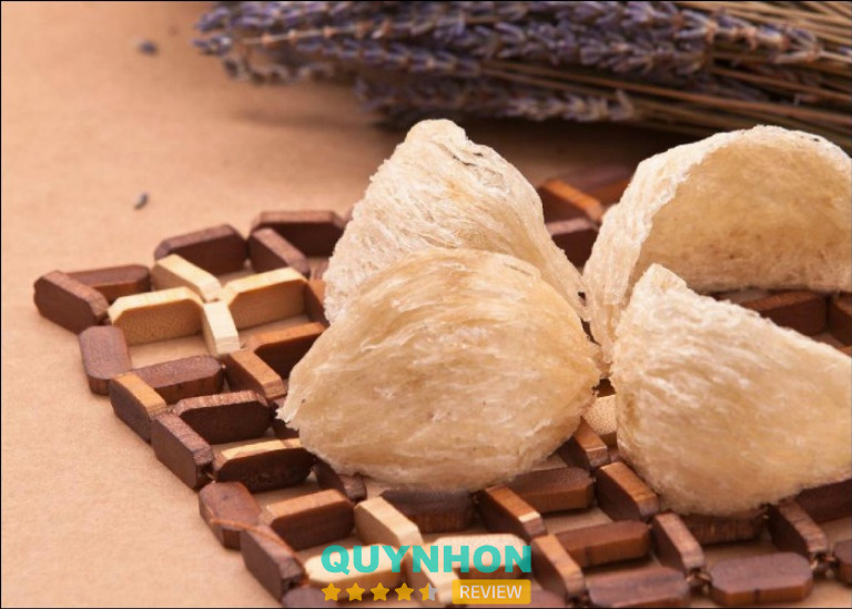 Yến sào ở Bình Định
