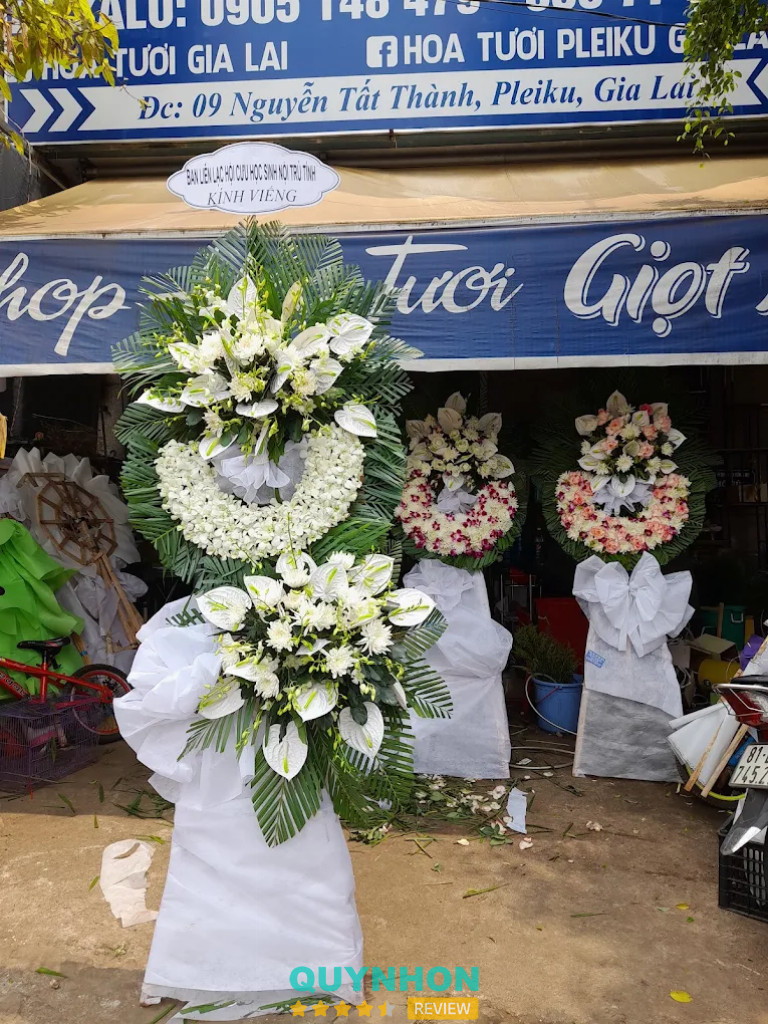 Bài đánh giá về Hoa tươi Giọt Nắng: 9B Nguyễn Tất Thành, Pleiku, Gia Lai