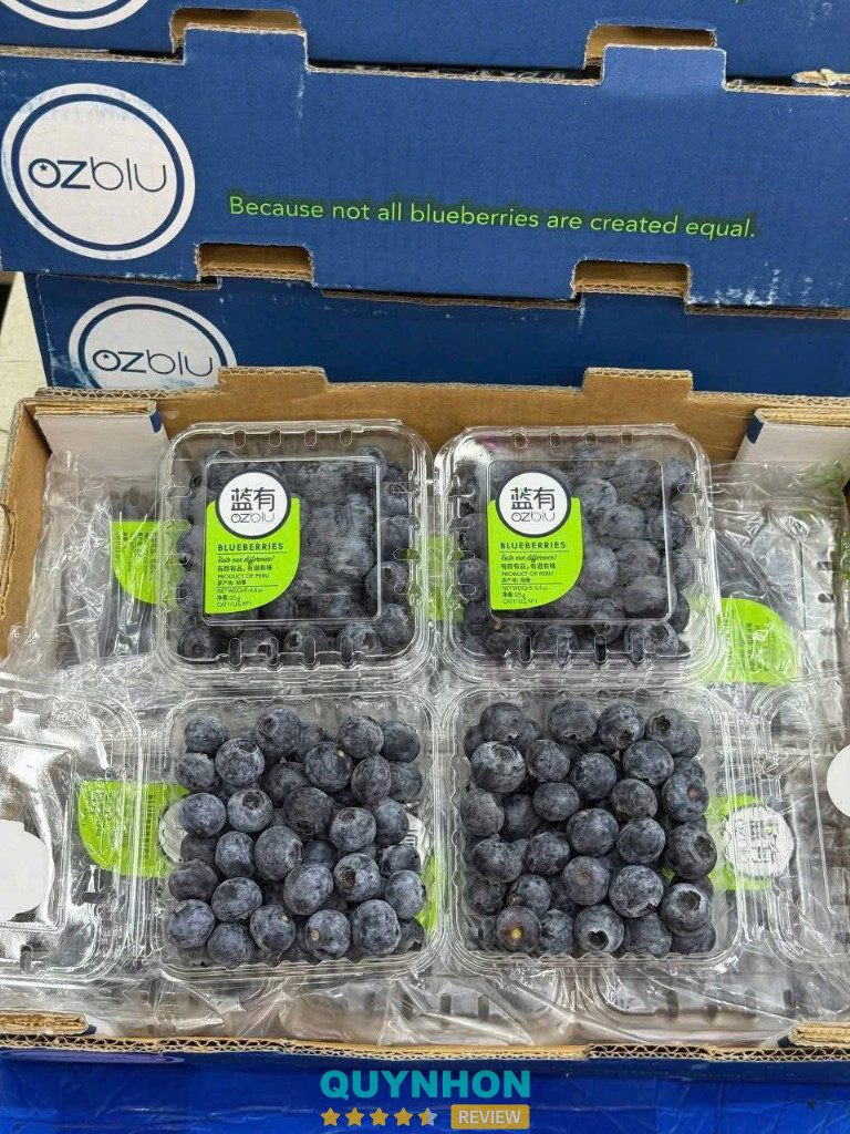 Vườn Xanh - 67 Trần Phú