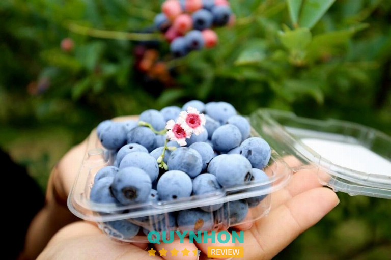 Green Mart Quy Nhơn - 30 Lý Thường Kiệt 