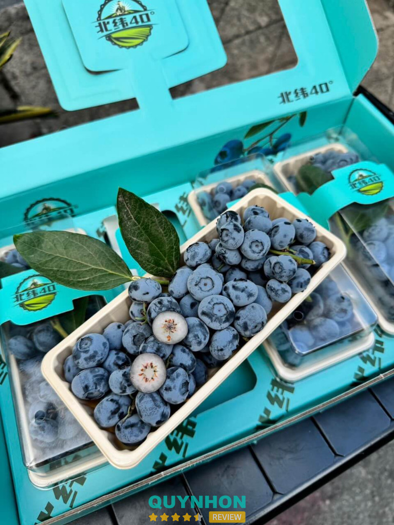 Family Fruits – 10 Trường Chinh