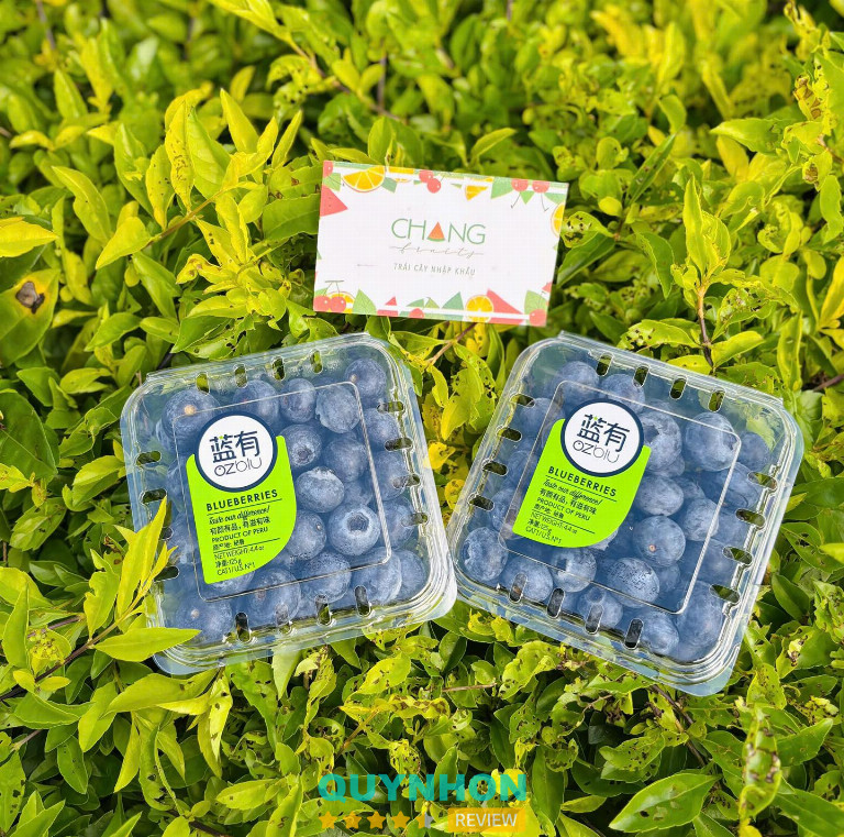 Chang Fruits - 176 Phan Bội Châu