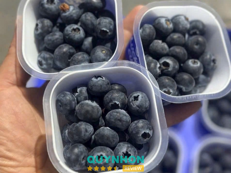 mua việt quất ở Quy Nhơn