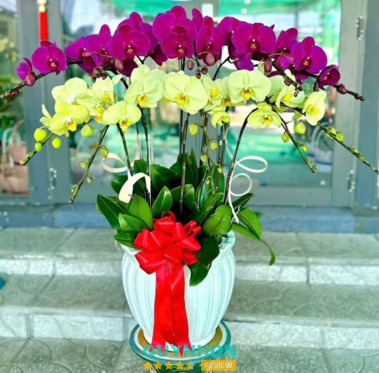 Shop Hoa Tươi Như Ý - 152 Phan Đình Phùng