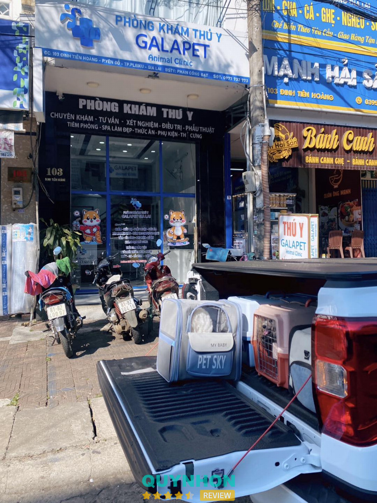 Phòng Khám Thú Y GALAPET Gia Lai - Pleiku