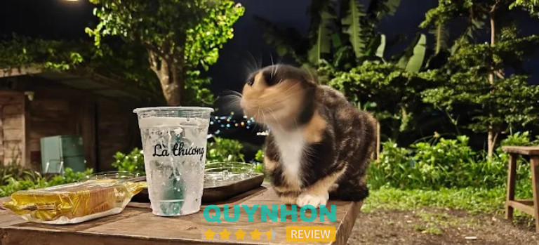 Là Thương - Pleiku