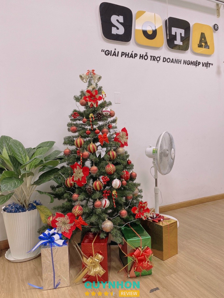 dịch vụ SEO ở Quy Nhơn