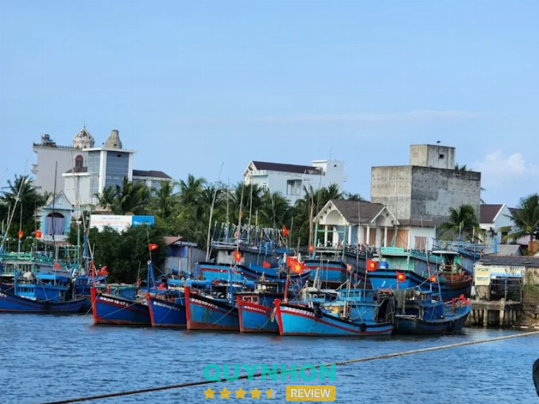 Cảng Cá Ngừ Tam Quan - Hoài Nhơn Bắc