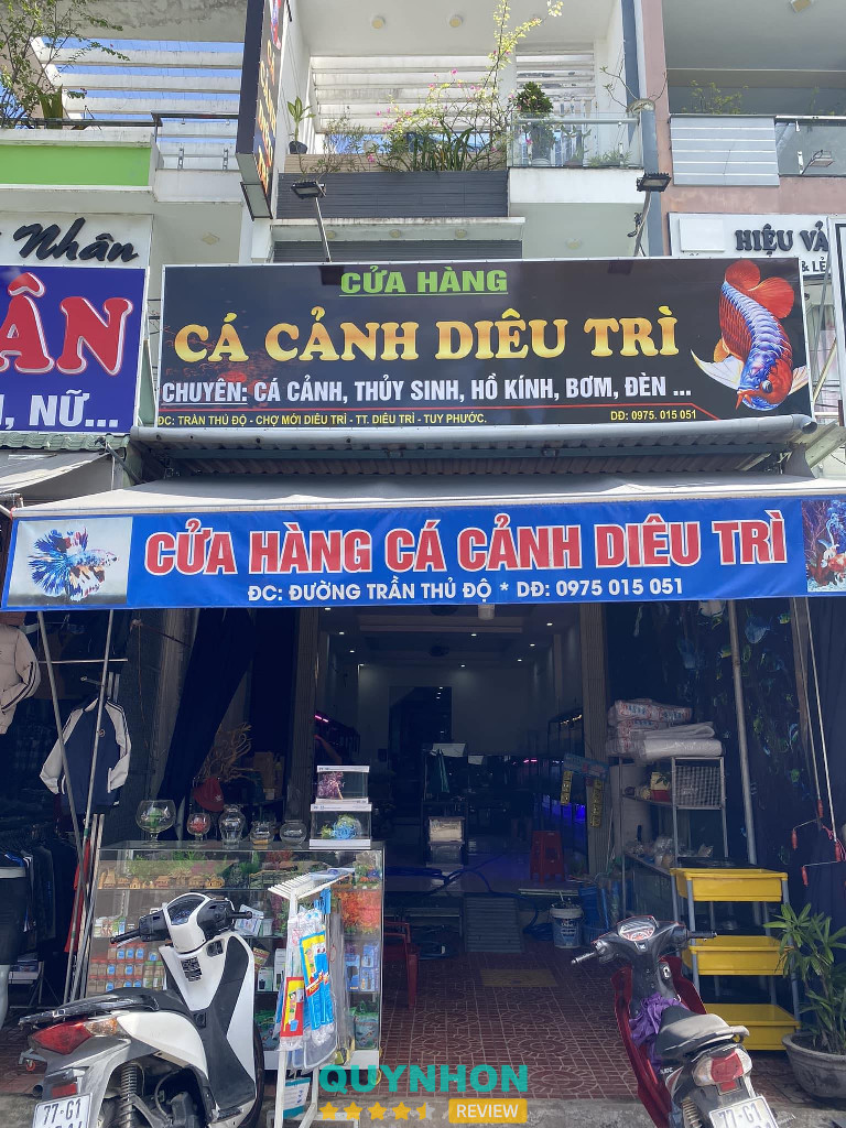 cửa hàng bán hồ cá thủy sinh ở Bình Định