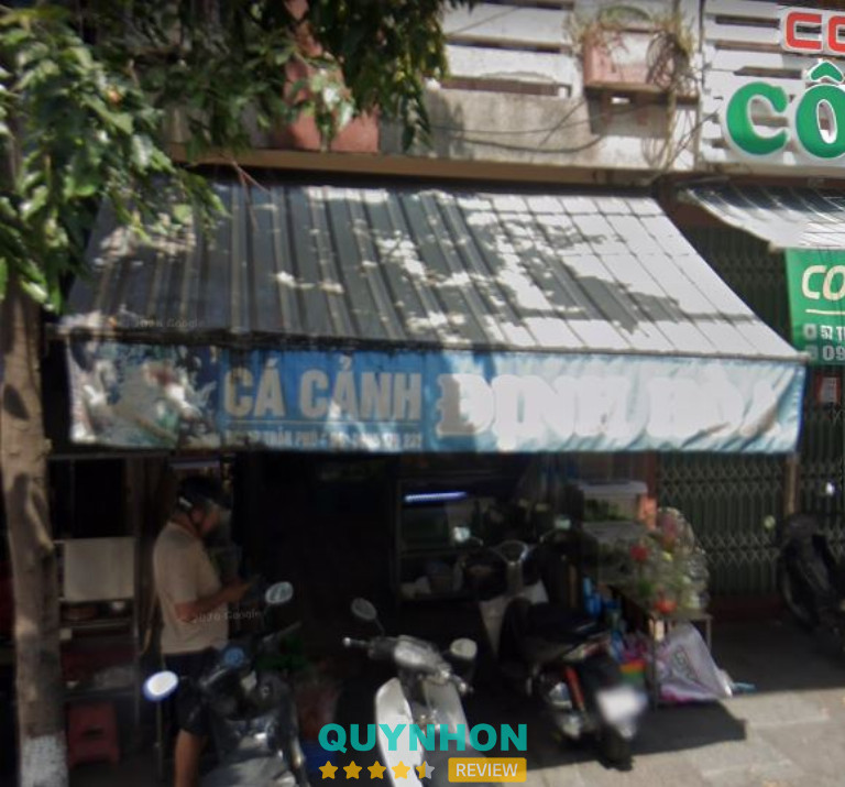 Định Hòa Cá Cảnh - Quy Nhơn
