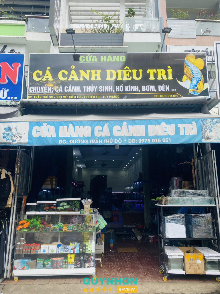 Cá Cảnh Diêu Trì - Tuy Phước