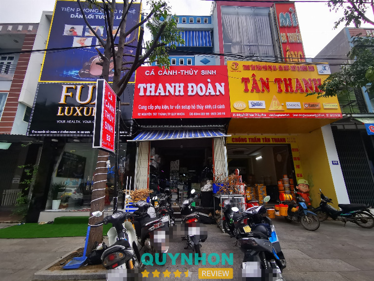 Thủy sinh Thanh Đoàn - Quy Nhơn 