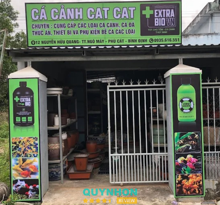 Cá cảnh Cat Cat - Phù Cát